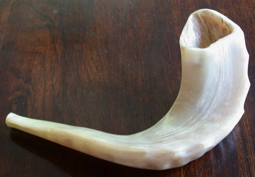 A small shofar made from a ram's horn